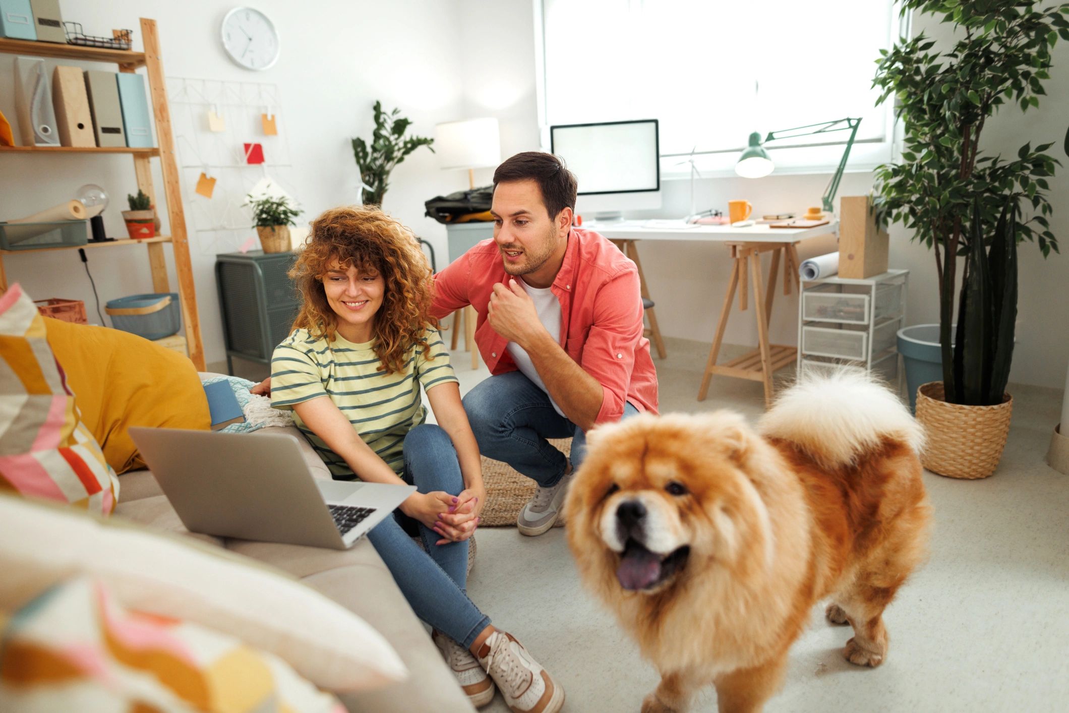 Dog owners shopping online with their dog at home