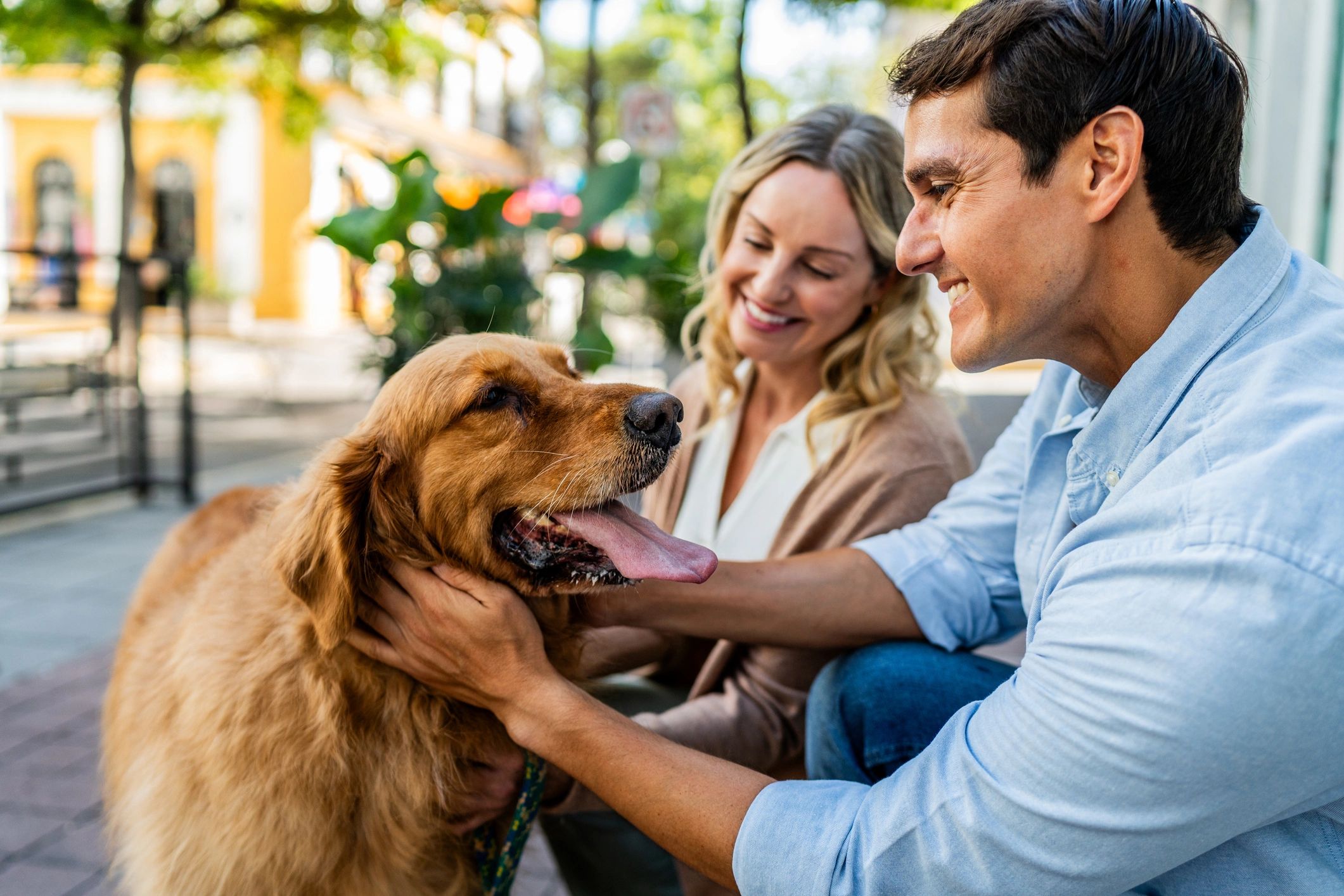 Mid adult couple talking and petting dog on city street